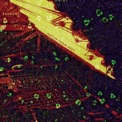 Reeboot