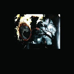 Leandro Barzabal - Time Dommage Interior side 1