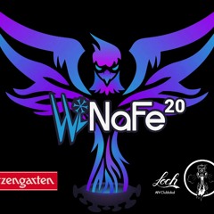 WiNaFe2020