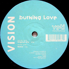 Vision - Burning love