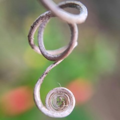 Mind Spiral (psy mix)
