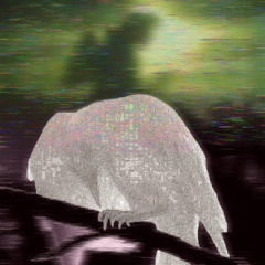 Lullaby (BayerGartner teyung)