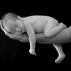 Terrific Lullaby, A Musical Horror