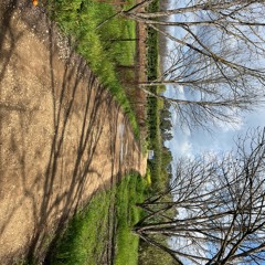 DNA Sunrise 2024 - 04 - 26