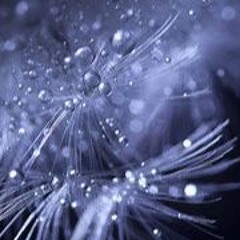 Drop @𝙉𝙤𝙧𝙩𝙝 @CHOZN #2xClub #SL #SS #HC