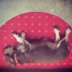 Jamuary_19_SlothCorePrompt