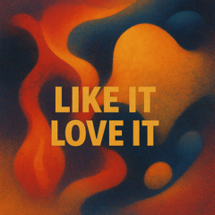 Like it Love it V2