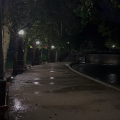 Trey Howe (Full Playlist)