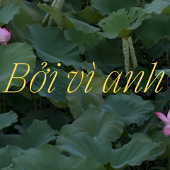 2imphuoc - BỞI VÌ ANH