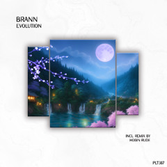 DHS Premiere: Brann - Break (Extended Mix) [Polyptych]