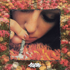 WastedYouth [prod. aureola x faidenn]