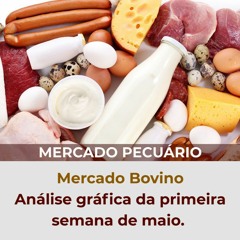 Mercado Bovino – análise gráfica da primeira semana de maio.