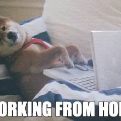 Homeoffice (19.01.2020)