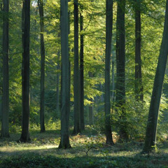 LAISSEZ VOUS GUIDER - DEUX PAS DE COTE