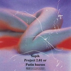 Sopik - Project 2.01 Or Putin Huesos (free dl)