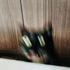 The Only Time Is Now