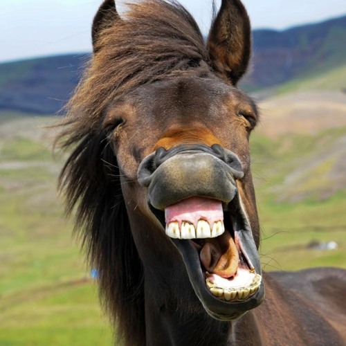 Bill And Ben’s PC Theme