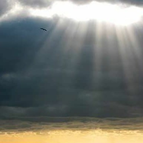 presence/ تنبور و آواز: پوریا فرجی/ قیچک آلتو؛ چکاد فشارکی