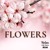 Artwork for Flowers