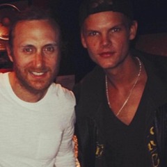 Avicii Ft Akon David Guetta - All I Need Is A Sexy Bitch