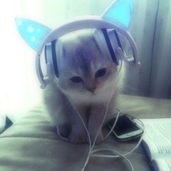 xX_Restart_Xx