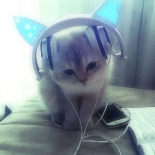 xX_Restart_Xx