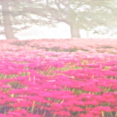 ʜɪɢᴀɴʙᴀɴᴀ