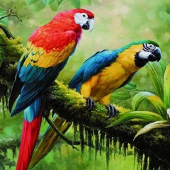Gustavo Santaolalla - Pajaros (AddLow Remix)