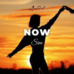 Sine - Now