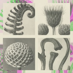 1985