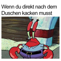 komm wir reiten in die sonne