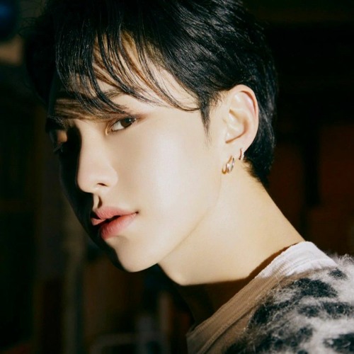 アイドル SEVENTEEN HOSHI Hoshi | Seventeen Wiki | Fandom