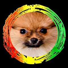 Junglist Puppy