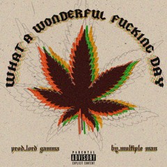 What A Wonderful Fuckin' Day