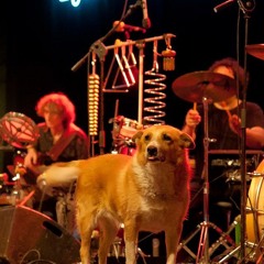 Faraualla: Mano Manca Mano Santa - Angelo Ebows Coda Bounce 2024 - 02