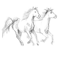 wild horses Sammy mix 2.m4a