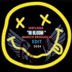 Nirvana - In Bloom [Marco Briguglia Edit 2024]