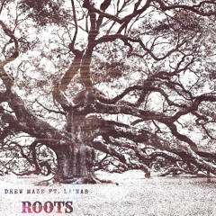 Roots (feat. La'Nas) [Prod. L. David]