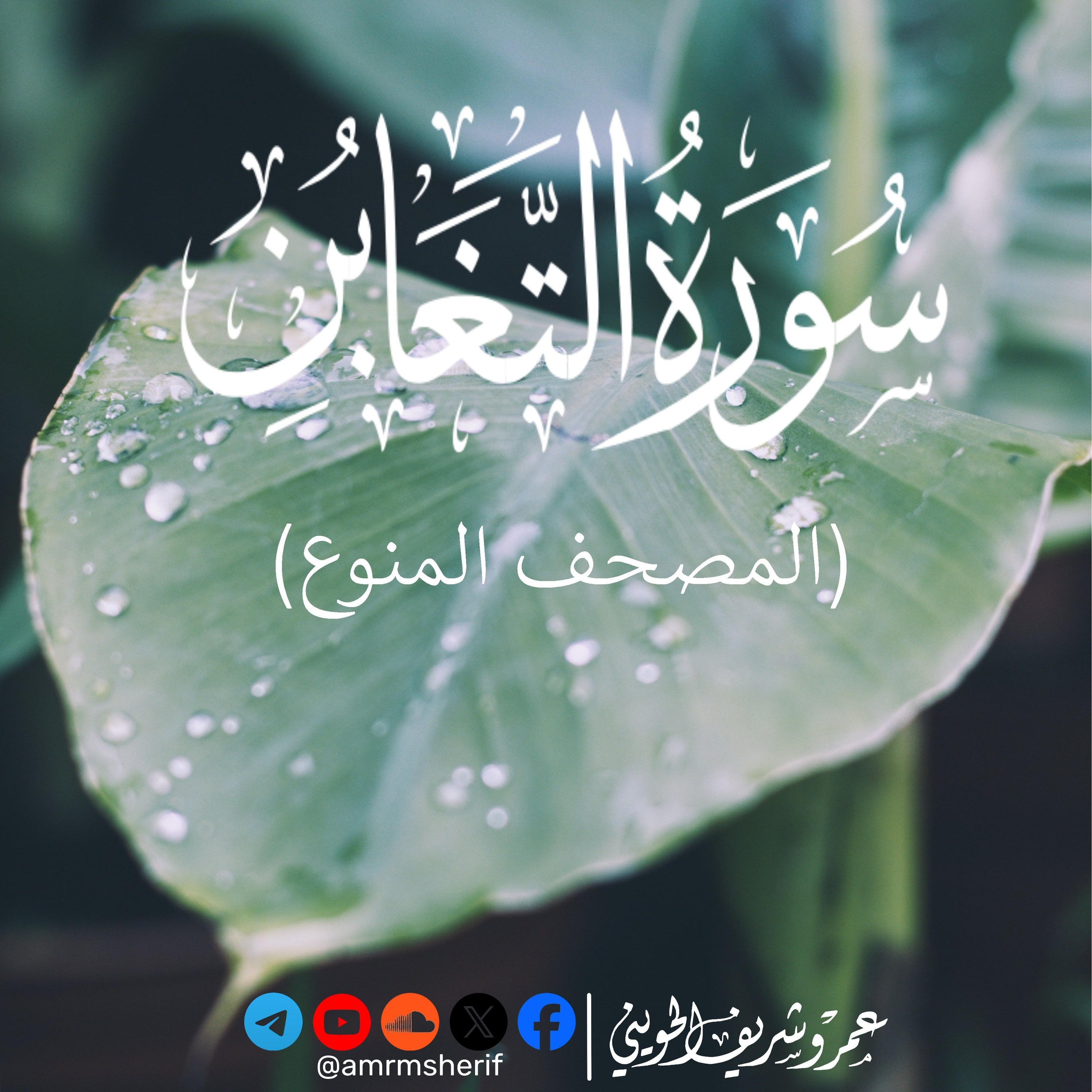 سورة التغابن | تسجيل خاص | عمرو شريف الحويني episode artwork