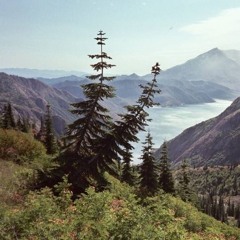 SUICIDEWAVЕ - 03:50 am