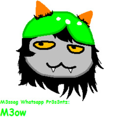 M3ow