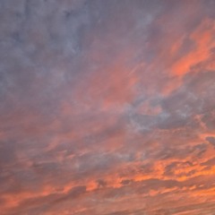 luther (Kendrick Lamar & SZA cover)by Shuan Riley