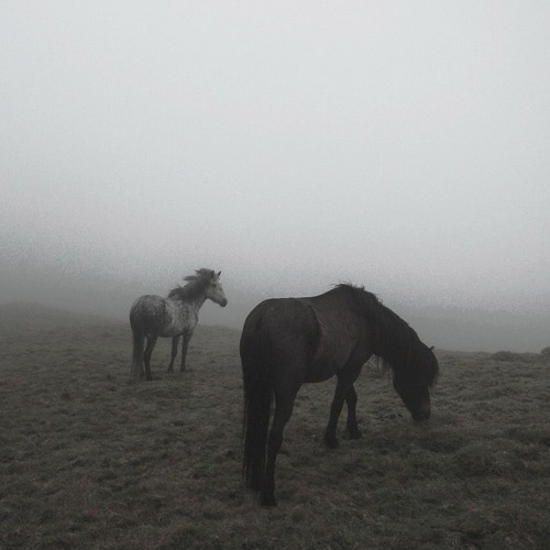 SHATTERED PROD. NOAH BIRCH