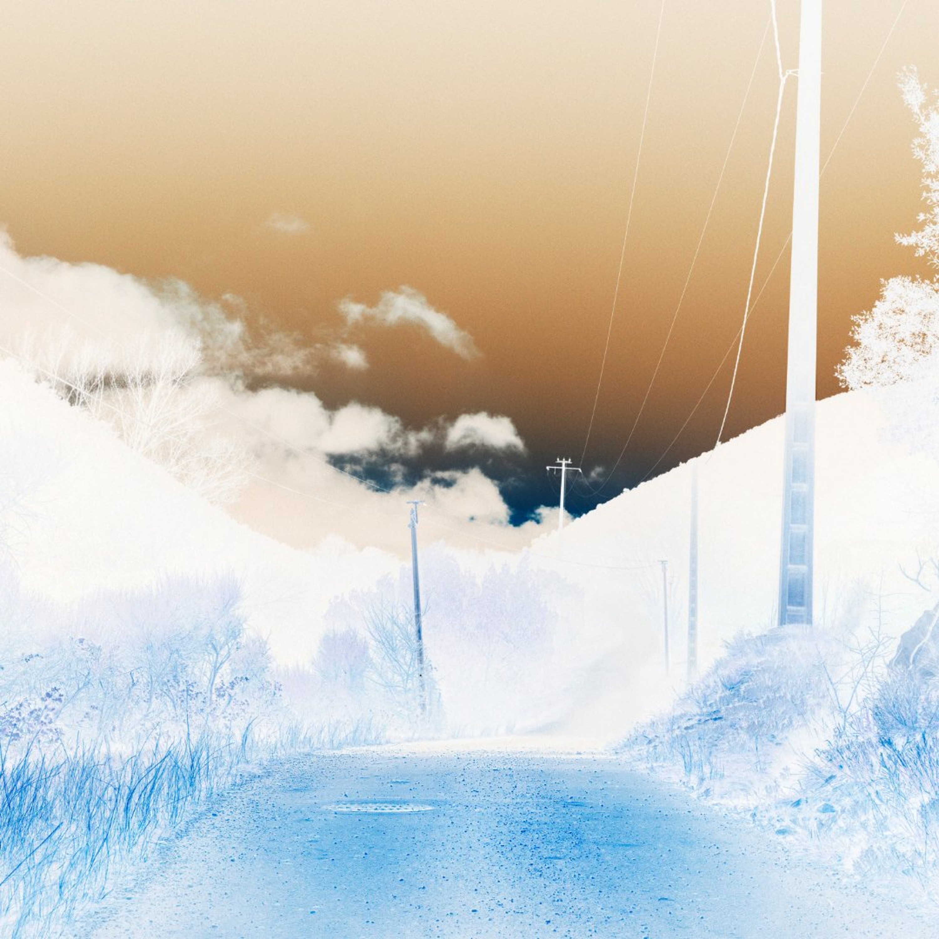 PREMIERE :  CHLOÉ - Shapeshifter episode artwork