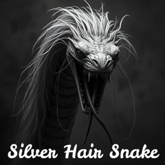 Silver Hair Snake