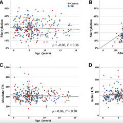 Ribosomal DNA Methylation Patterns Reveal When Aging Begins