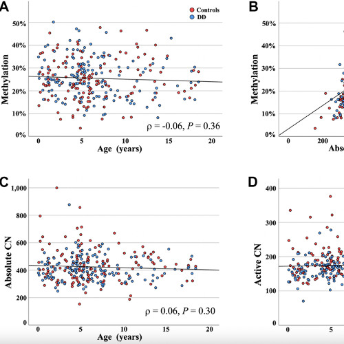 Ribosomal DNA Methylation Patterns Reveal When Aging Begins