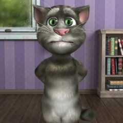 Talking Tom ahh beat.wav