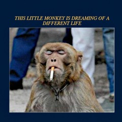 a different life(demo)