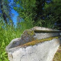 #flu [full 3p] #anc#iiient #dsm